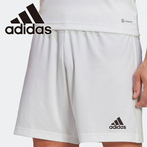 XyVvCX [֑ AfB_X ENTRADA22 V[c TG216-HG6295 Y fB[X