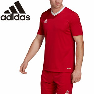 yubNtCf[X|Cgő20{(11/27 1:59z XyVvCX [֑ AfB_X ENTRADA22 W[W[ ZG486-H61736 Y fB[X