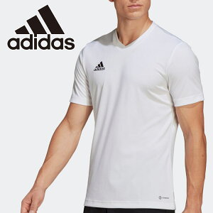 yubNtCf[X|Cgő20{(11/27 1:59z XyVvCX [֑ AfB_X ENTRADA22 W[W[ ZG486-HC5071 Y fB[X