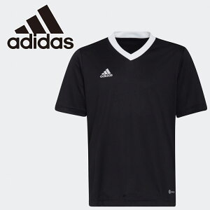 XyVvCX [֑ AfB_X KIDS ENTRADA22 W[W[ MBE20-H57497 WjA