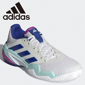 y}\X|Cgő20{(2025/11/11 1:59)z XyVvCX AfB_X Barricade 13 M AC IF9129 YV[Y