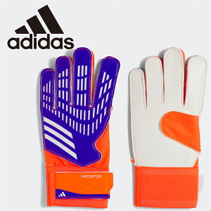 y3ԌX|Cgő20{(2025/10/30 00:00`11/1 23:59)z XyVvCX AfB_X LbY vf^[ GKO[u g[jO JTJ65-IX3872 WjA yn著z