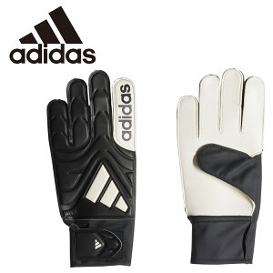 y΂̓X|Cgő20{(11/18 00:00`23:59)z [֑ XyVvCX AfB_X Rp Nu S[L[p[O[u KWA37-JY0625