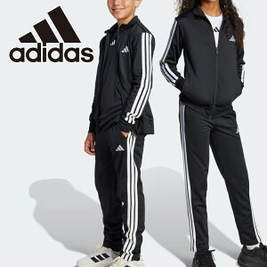 yӍՌX|Cgő20{(2025/11/16 23:59)z XyVvCX AfB_X GbZVYNC}N[gbNX[cLbY KRG91-JD6502 WjA