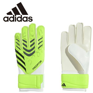 yӍՌX|Cgő20{(2025/11/16 23:59)z XyVvCX AfB_X LbYPDg[jOGKO[u KSZ34-JN5362 WjA yn著z