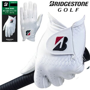 �y���|�C���g�o�b�N�ՊJ�Ò��X���|�C���g�ő�20�{(2/14 10:00�`2/16 23:59��)�z �u���a�X�g���S���t TOUR NANO �����Y �S���t�O���[�u GL2509 2025���f��