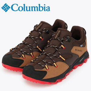 y0̂_tf[48ԌX|Cgő20{(11/30 00:00`12/1 23:59)z RrA ZCo[ VbNX [ AEghC Cg YI0238-287 YV[Y