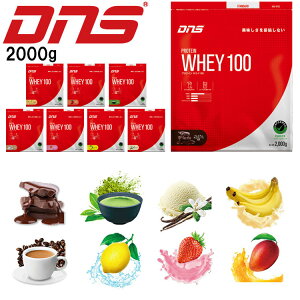 yԌ|Cgő20{(2025/12/12 11:59)z XyVvCX DNS veC zGC100 2000g 2kg