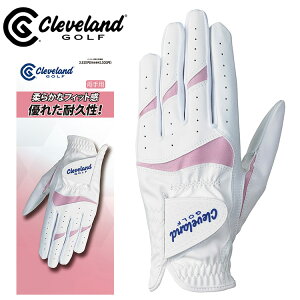 yX[p[Z[ԌX|Cgő20{(12/11 1:59)z N[uh fB[X StO[u p GGG-C003W 2025f