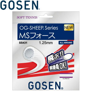 y΂̓X|Cgő20{(11/18 00:00`23:59)z XyVvCX [֑ S[Z ejX ejX \tgejXXgOX Kbg MStH[X SS431-dbk