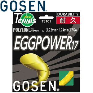 yX[p[Z[ԌX|Cgő20{(12/11 1:59)z XyVvCX y2_܂Ń[֑z S[Z | GbOp[17 dejXXgOX TS101-51