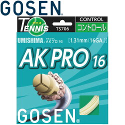 【2点までメール便送料無料】ゴーセンUMISHIMAAKプロ16硬式テニスストリングスTS706-90