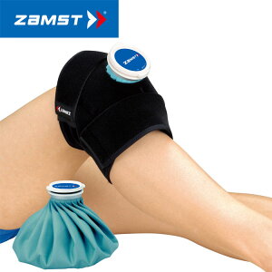 UXg IW-1ACVOZbg AVT-378301 ZAMSTyԕisz