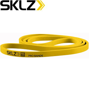 y}\X|Cgő20{(9/24 1:59)z XyVvCX XLY SKLZ tBbglX g[jO vohCg g[jO`[u PRO BANDS (LIGHT) yn