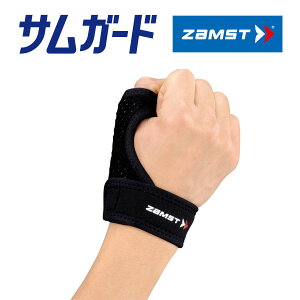 [֑ UXg TK[h ewpT|[^[ Ep ZAMSTyew̌ŒE̗}Ɂzyԕisz