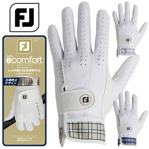 tbgWC fBeRtH[g fB[X StO[u FGLE25 2025f {Ki