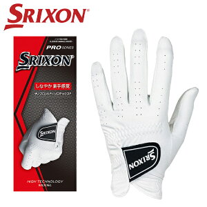 yX[p[Z[ԌX|Cgő20{(12/11 1:59)z [֑ XN\ St jZbNX Y fB[X StO[u GGG-S028 E(p)