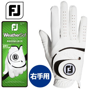 y}\X|Cgő20{(2025/11/11 1:59)z [֑ tbgWC St EFU[\t Y StO[u (Ep) FGWF3LH 2023f