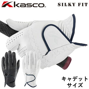 y0̂_tf[48ԌX|Cgő20{(11/30 00:00`12/1 23:59)z LXR St VL[tBbg Y StO[u LfbgTCY E(p) GF-23302