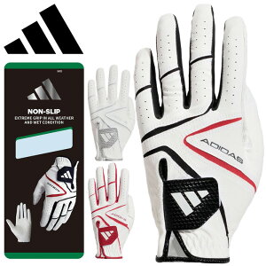 [֑ AfB_X St mXbv 24 O[u Y StO[u E(p) IKL18