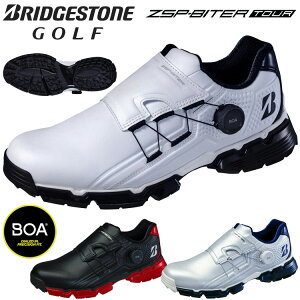 y0̂_tf[48ԌX|Cgő20{(11/30 00:00`12/1 23:59)z uaXgSt [EXpCN oC^[ cA[ BOA Y XpCNX StV[Y SH2401 2024