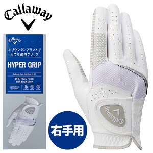 yӍՌX|Cgő20{(2025/11/16 23:59)z LEFC nCp[Obv Y Ep StO[u 25 JM 2025f {Ki