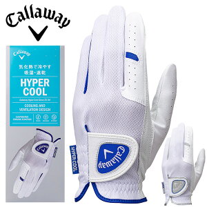 y3ԌX|Cgő20{(2025/10/30 00:00`11/1 23:59)z LEFC nCp[N[ Y StO[u 25 JM 2025f {Ki