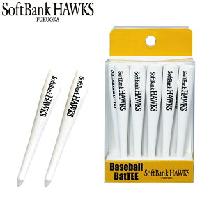 \tgoNz[NX obg^ eB[ 10{