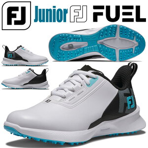 y3ԌX|Cgő20{(2025/10/30 00:00`11/1 23:59)z tbgWC FJ t[G [X WjA XpCNX StV[Y 2025f