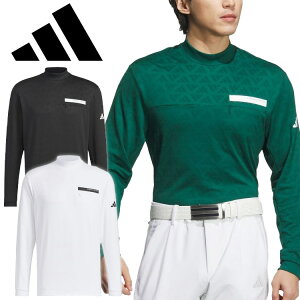 AfB_X St WJ[h UVPAt bNlbN Vc Y 2024H~ StEFA JTY71