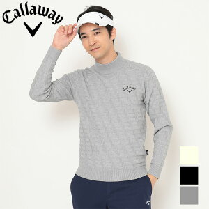 y}\X|Cgő20{(2025/11/11 1:59)z LEFC NX҂ nClbNjbg Y 2025H~ StEFA C25218104