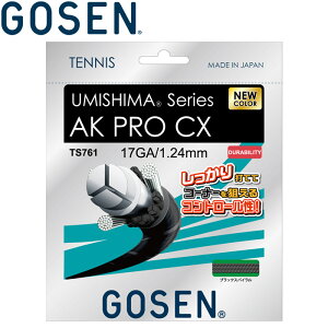 �y���������}���\������X���|�C���g�ő�20�{(2026/5/16 1:59��)�z���������X�y�V�����v���C�X ���[���֑������� �S�[�Z�� �e�j�X �E�~�V�} AKPROCX17 BKS �K�b�g �X�g�����O�XTS761BKS