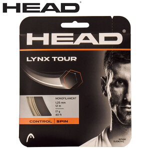 yX[p[Z[ԌX|Cgő20{(12/11 1:59)z XyVvCX HEAD wbh NX cA[ [ HTM-281799-17CP