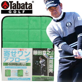 【いちばの日＆お買い物マラソン限定店内ポイント最大20倍(7/26 1:59迄)】 タバタ ゴルフ 藤田タッチマット GV-0287 Tabata
