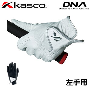 LXR St DNA O[u fB[X Ў Ep GF-2012L