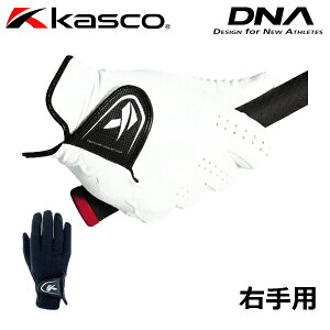 y0̂_tf[48ԌX|Cgő20{(11/30 00:00`12/1 23:59)z LXR St DNA O[u Y Ў Ep SF-2010R