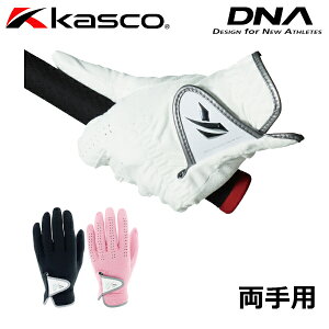 yubNtCf[X|Cgő20{(11/27 1:59z LXR St DNA O[u fB[X  SF-2010LW