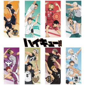 【0のつく日限定店内ポイント最大20倍(10/10 00:00〜23:59迄)】 お買い得スペシャルプライス メール便送料無料 ハイキュー!! 公式グッズ スポーツタオル 10周年記念 繋ぐPROJECT 34×80cm