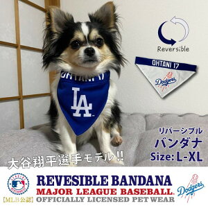 yMLBFzt@^W[[h hW[X JĕI胂f o[Vuo_i L-XL