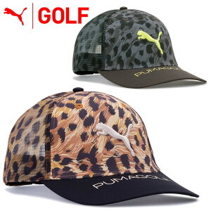 v[} St t[OtBbN Lbv Y 027115 {Ki 2025f