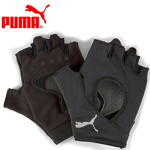 XyVvCX [֑ v[} TR W O[u 041773-01 fB[X