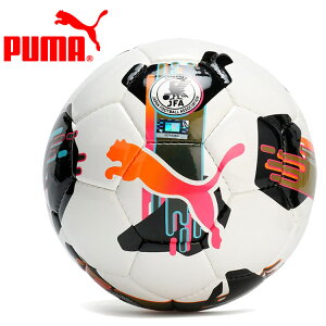 お買い得スペシャルプライス プーマ PUMA オービタ 5 HS 084575-01 【地域限定送料無料】