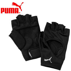 y0̂_tf[48ԌX|Cgő20{(11/30 00:00`12/1 23:59)z XyVvCX [֑ v[} TR ESS O[u 041465-01 Y