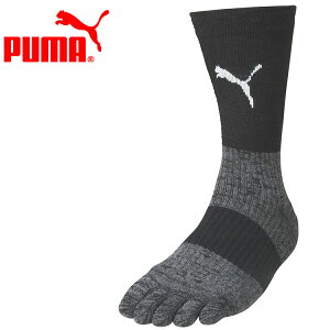 XyVvCX v[} PUMA Obv\bNX 658035-03 Y yn著z