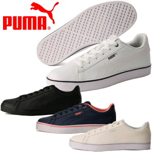 y3ԌX|Cgő20{(2025/10/30 00:00`11/1 23:59)z v[} Xj[J[ V R[g oN EB 389908 Y fB[X V[Y ʊw