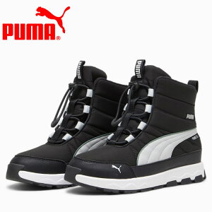 yubNtCf[X|Cgő20{(11/27 1:59z XyVvCX v[} G{u u[c sAebNX JR 392647-02 WjAV[Y