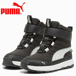 yubNtCf[X|Cgő20{(11/27 1:59z XyVvCX v[} G{u u[c sAebNX AC+PS 392649-02 WjAV[Y