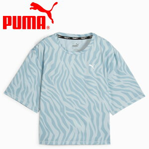 y0̂_tf[48ԌX|Cgő20{(11/30 00:00`12/1 23:59)z XyVvCX [֑ v[} TRAIN FAV AOP Nbv SS TVc 523659-21 fB[