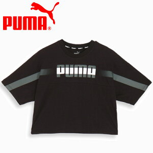 XyVvCX [֑ v[} TRN EDGE Nbv SS TVc 525206-01 fB[X