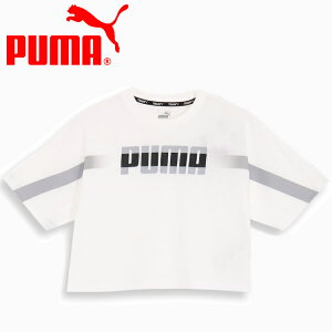 XyVvCX [֑ v[} TRN EDGE Nbv SS TVc 525206-02 fB[X